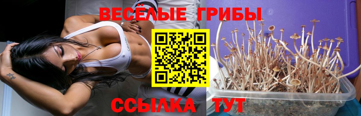 Галлюциногенные грибы мухоморы  где можно купить наркотик  Мариинск  Псилоцибиновые грибы мицелий  Вход с VPN 